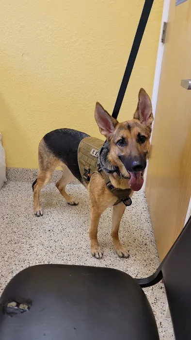Indian Rocks Beach Animal Hospital Picture 4