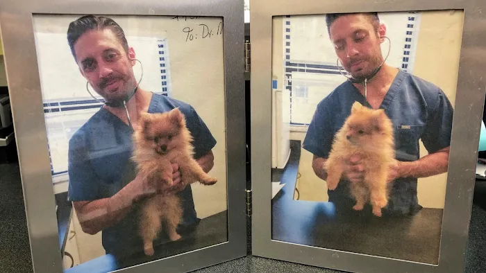 Indian Rocks Beach Animal Hospital Picture 10