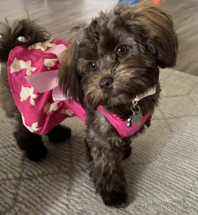 Sun-Surf Animal Hospital Picture 9