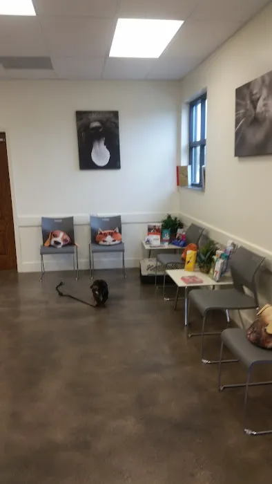 Community Animal Hospitals Picture 7