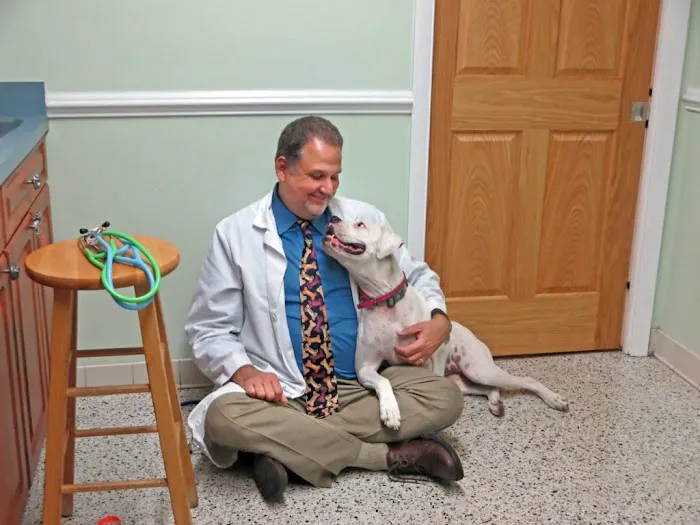 Lake Seminole Animal Hospital Picture 2