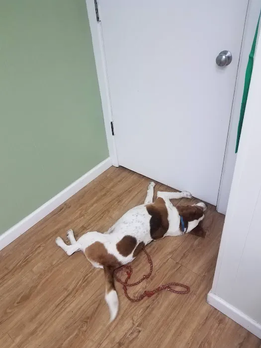 Northwest Veterinary Clinic Picture 6