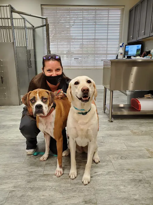 Plummer Pet Hospital Picture 1