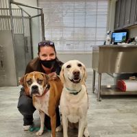 Plummer Pet Hospital ico