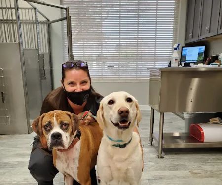 Plummer Pet Hospital