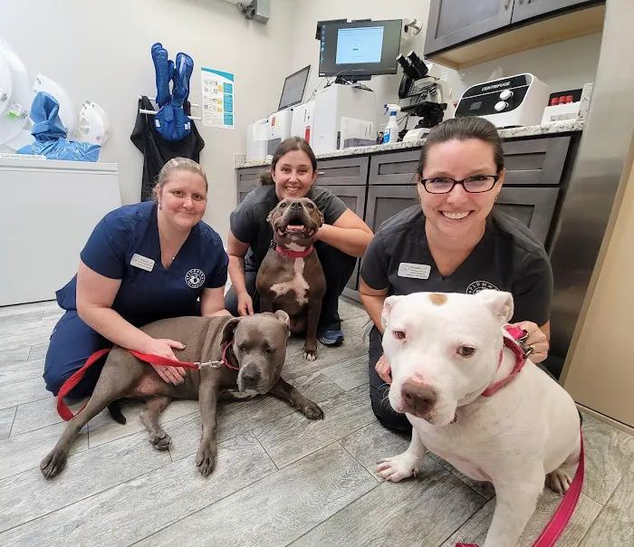 Plummer Pet Hospital Picture 6
