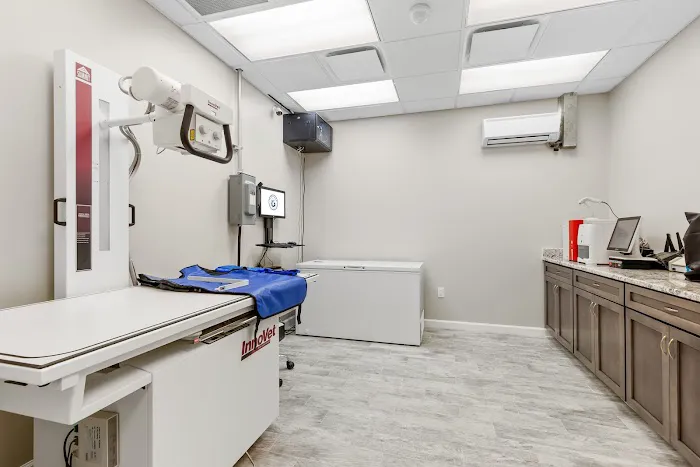 Plummer Pet Hospital Picture 4