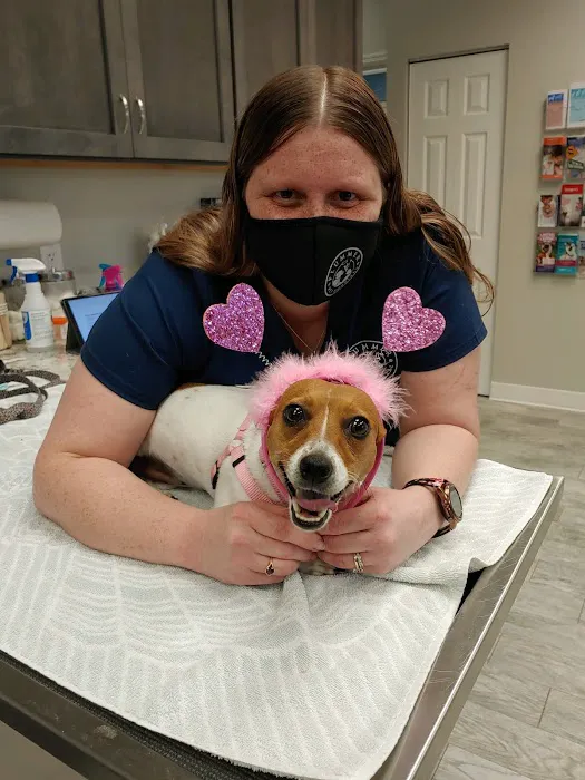 Plummer Pet Hospital Picture 10