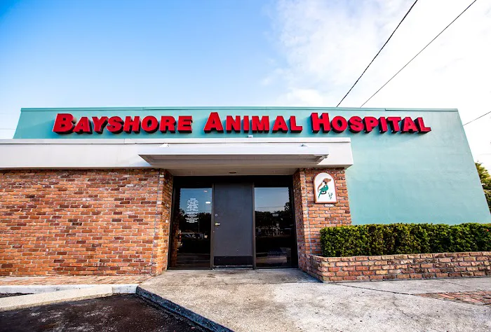 Bayshore Animal Hospital & Avian Practice Picture 4