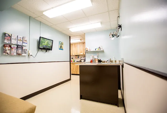 Bayshore Animal Hospital & Avian Practice Picture 6