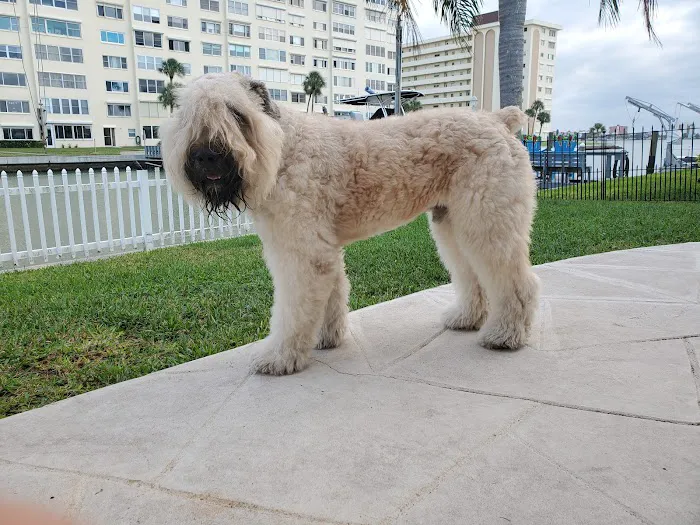 Bayshore Animal Hospital & Avian Practice Picture 10