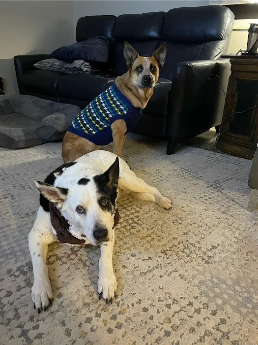Tyrone Veterinary Hospital Picture 6