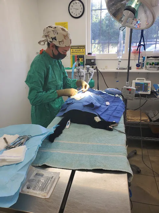 Tyrone Veterinary Hospital Picture 10