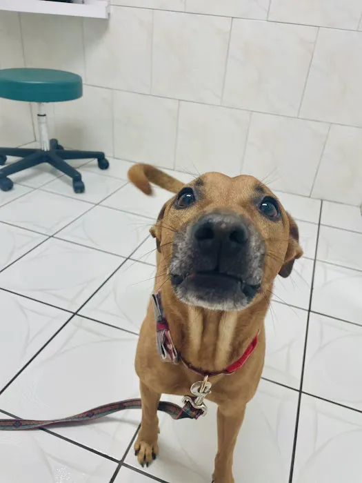 ParkView Animal Hospital Picture 1