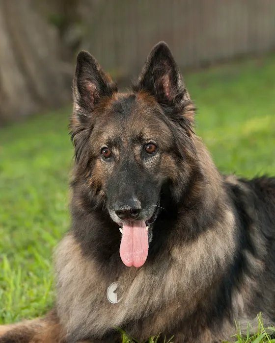 ParkView Animal Hospital Picture 5