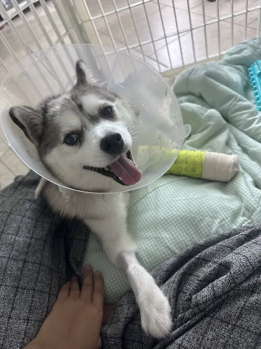 ParkView Animal Hospital Picture 10