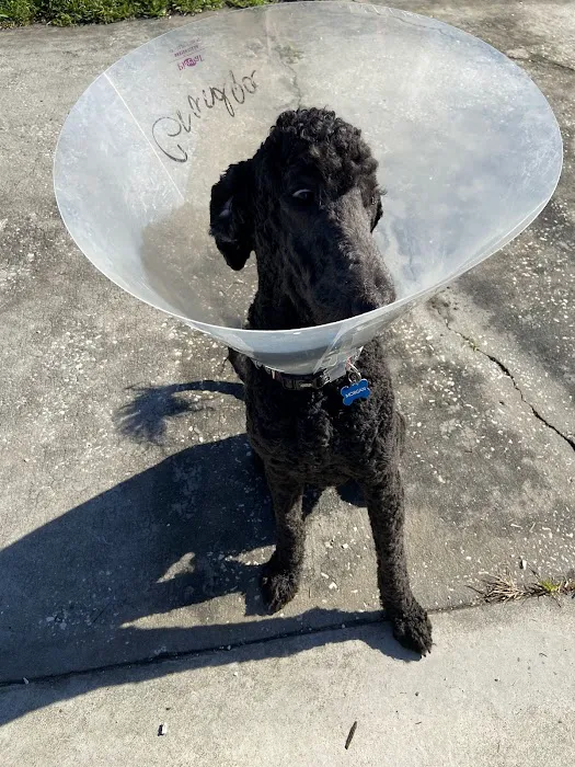 Operation: SNIP Spay Neuter Clinic and Operation: SNIP Wellness Center Picture 7