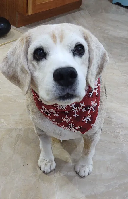 Banfield Pet Hospital Picture 1