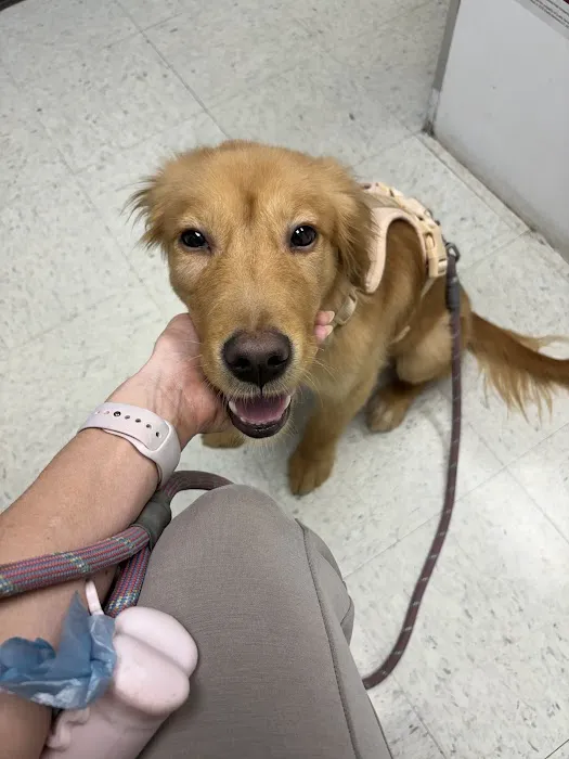 Animal Hospital of Seminole, A Thrive Pet Healthcare Partner Picture 6