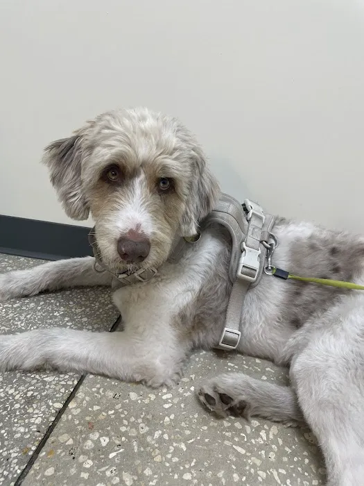 Vetco Total Care Animal Hospital Picture 3