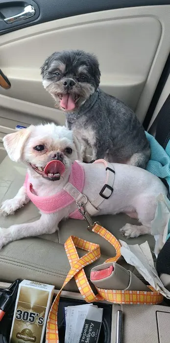Vetco Total Care Animal Hospital Picture 7