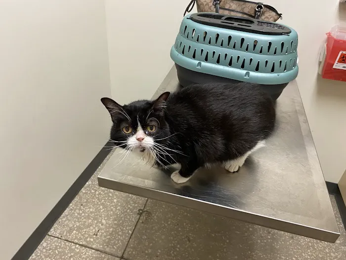 Vetco Total Care Animal Hospital Picture 8