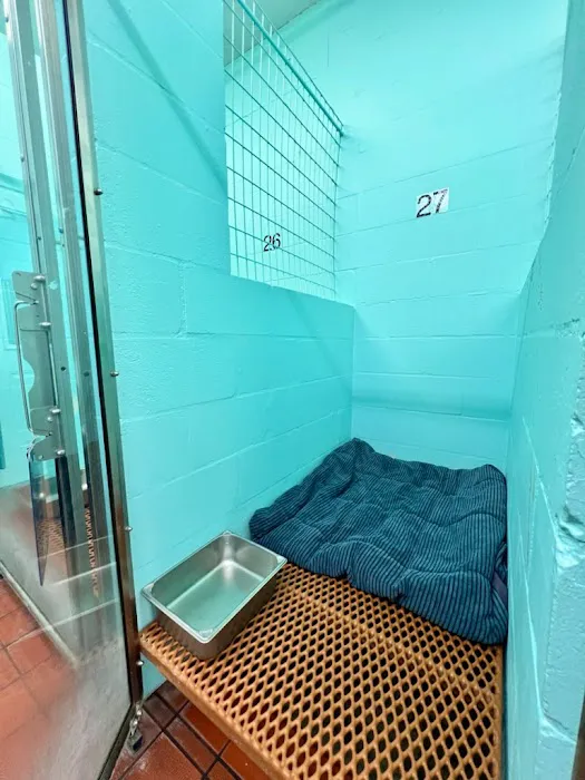 VCA Noah’s Place Animal Medical Center Picture 6