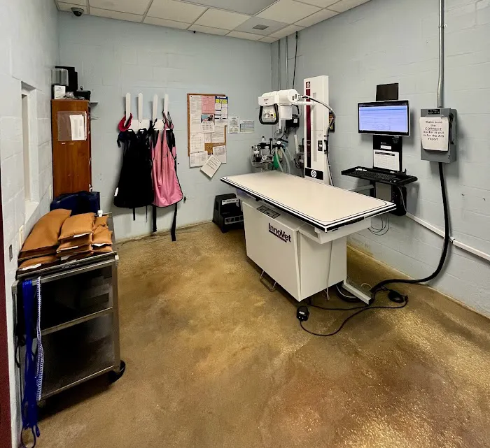 VCA Noah’s Place Animal Medical Center Picture 4