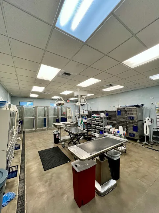 VCA Noah’s Place Animal Medical Center Picture 5