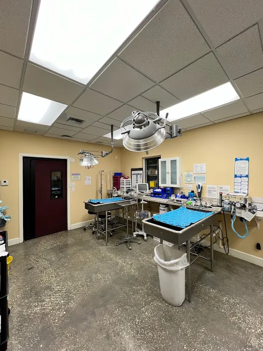 VCA Noah’s Place Animal Medical Center Picture 9
