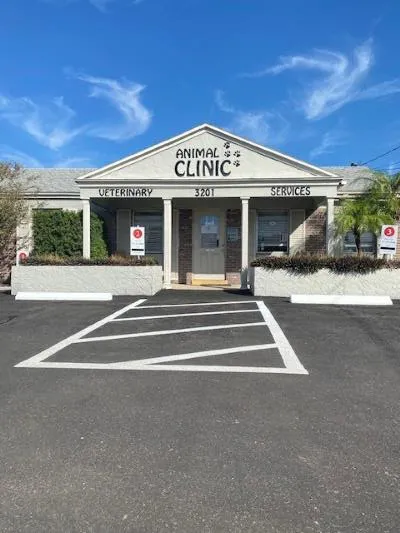 The Animal Clinic of St.Pete Picture 1