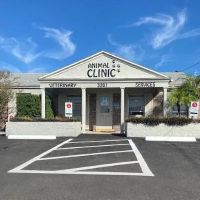 The Animal Clinic of St.Pete ico