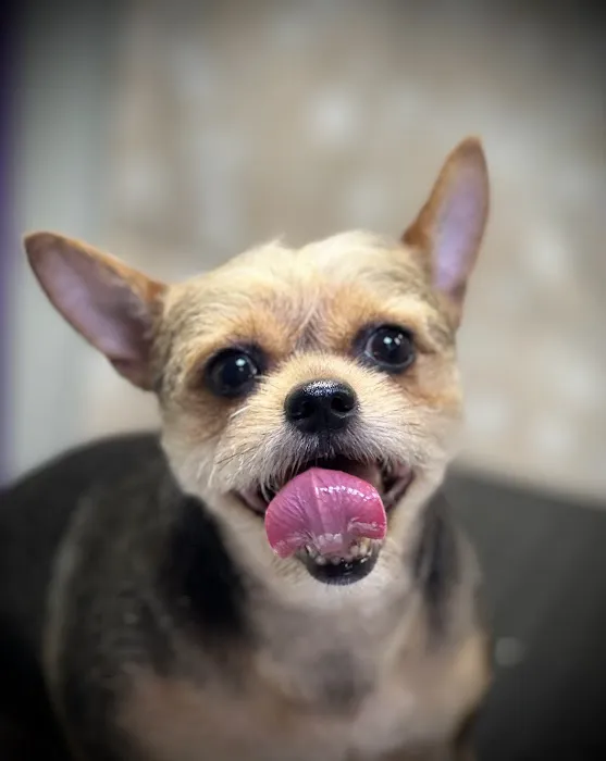 Banfield Pet Hospital Picture 1