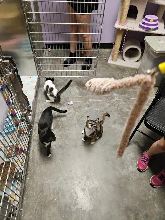 Banfield Pet Hospital Picture 7