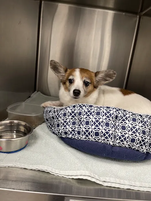 Florida Veterinary Clinic Picture 5