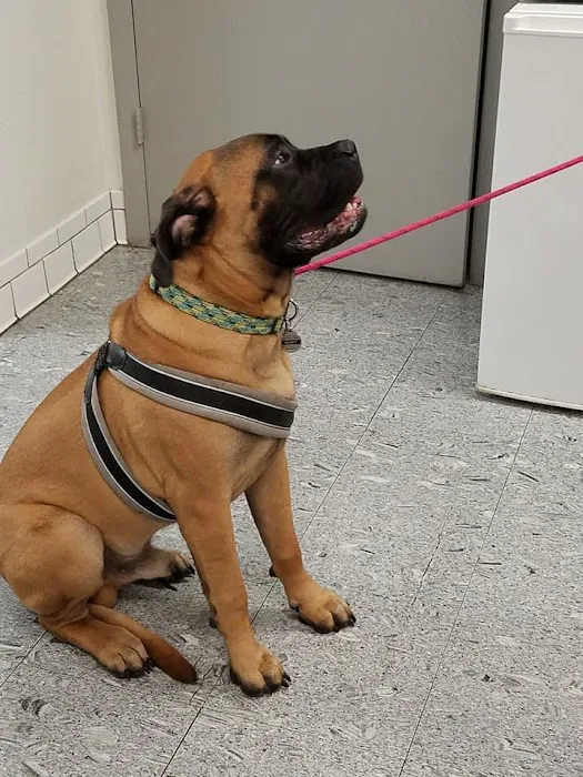 Gateway Animal Hospital Picture 1
