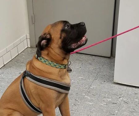 Gateway Animal Hospital