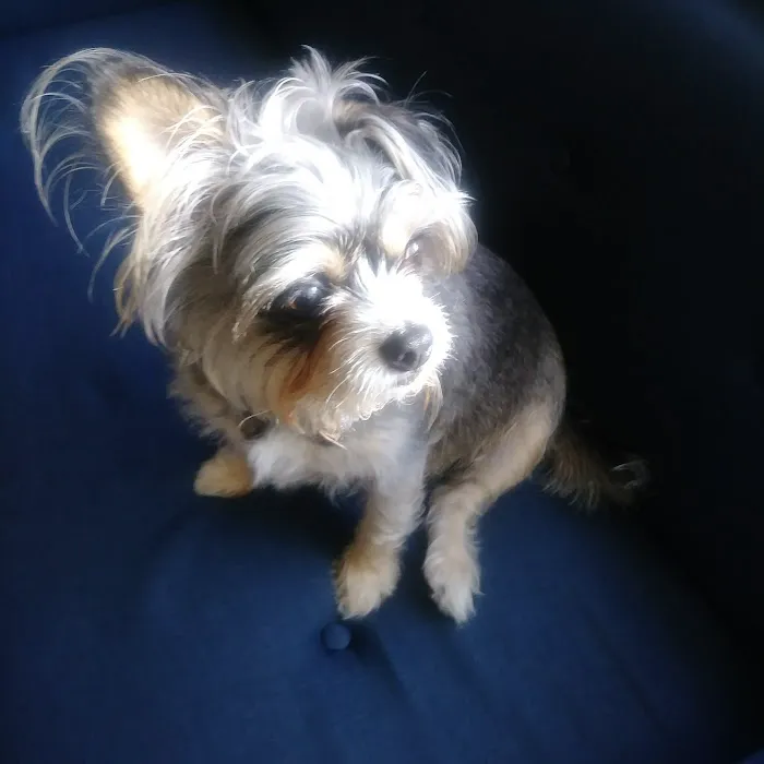 Gateway Animal Hospital Picture 5