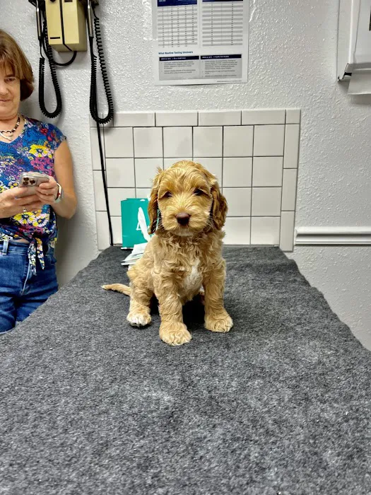 Gateway Animal Hospital Picture 6