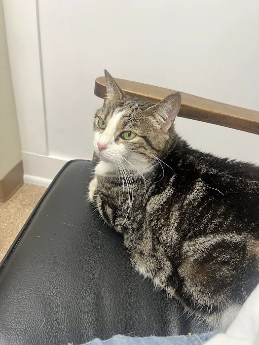 Partridge Animal Hospital Picture 1