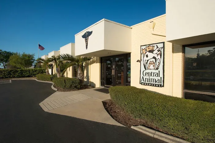 Central Animal Hospital Picture 3