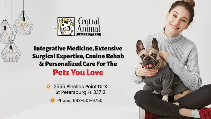 Central Animal Hospital Picture 5