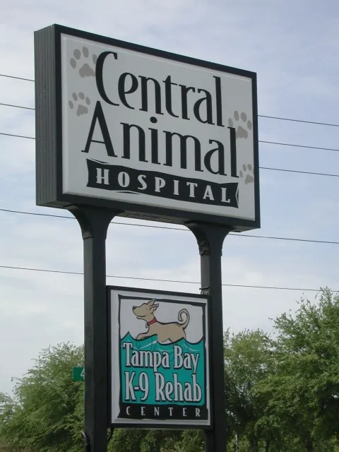 Tampa Bay K-9 Rehab Center Picture 5