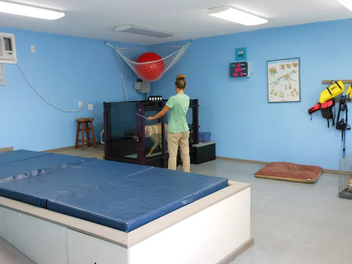 Tampa Bay K-9 Rehab Center Picture 10