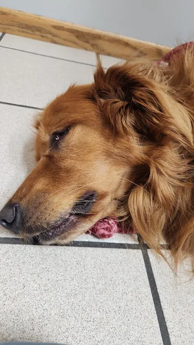 Heartland Animal Hospital Picture 9