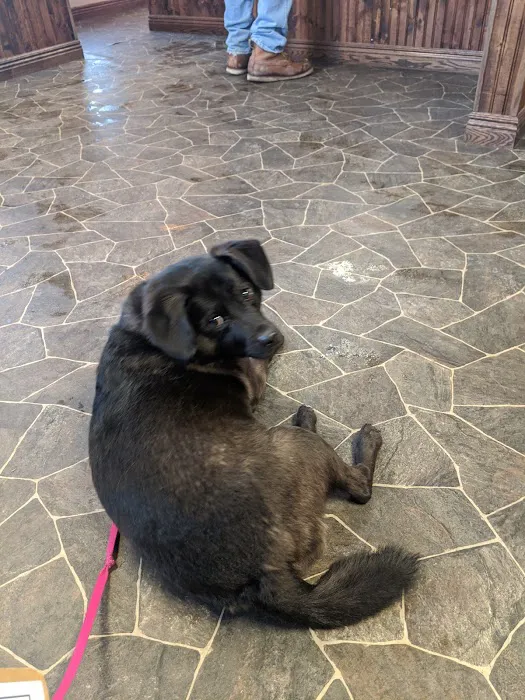 Webster Veterinary Clinic Picture 5