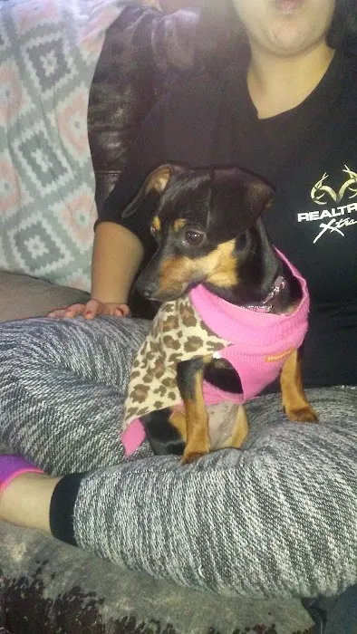 East Central Veterinarians Picture 3