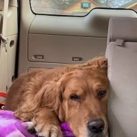 Northern Lakes Veterinary Clinic - Shell Lake ico