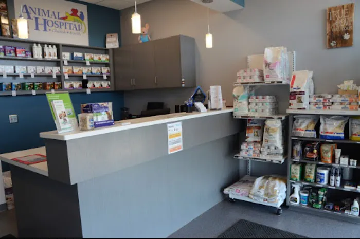 Animal Hospital North Aka Healthy Pets Picture 7