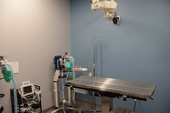 Animal Hospital North Aka Healthy Pets Picture 5